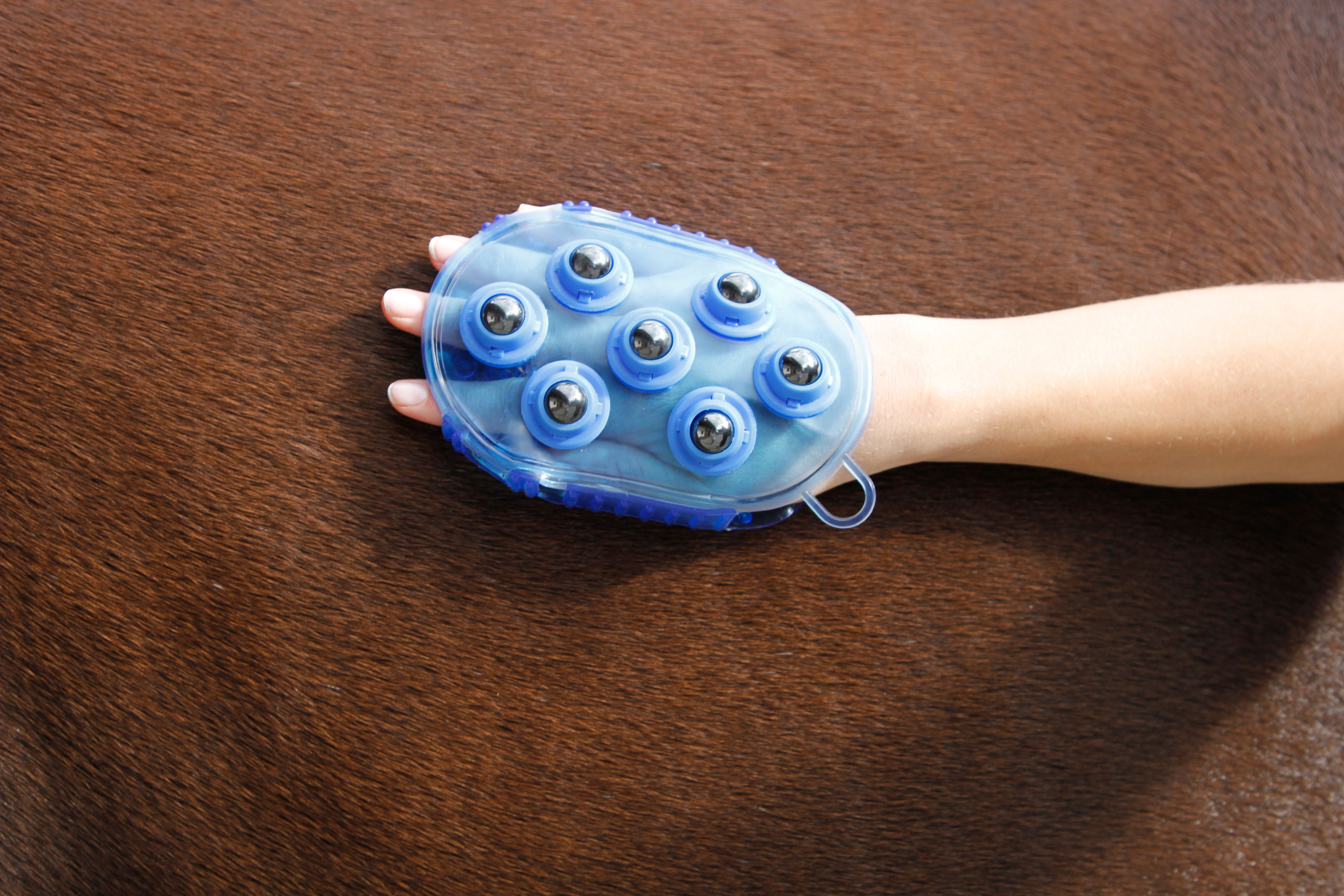 Magnet-Massagestriegel royalblau