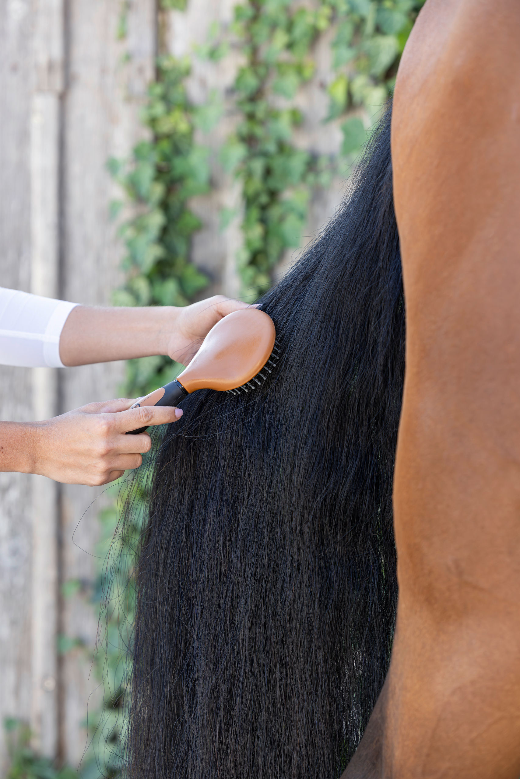 Covalliero Mähnenbürste 2K, schwarz braun