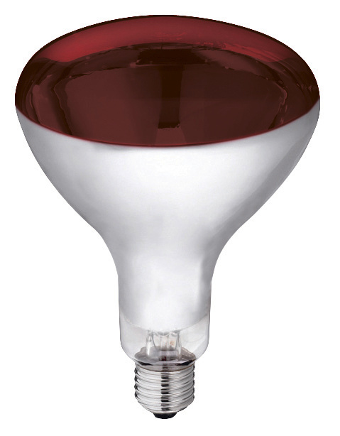 Hartglas Infrarotlampe 250W, passend zu Infrarot Wärmestrahlgerät  -  etwa 5000 Betriebsstunden - 240 Volt - spritzwasserfest - rot