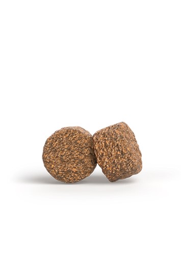 Josera Mother & Puppy Salmon & Rice (vorher Family Plus), 12,5kg