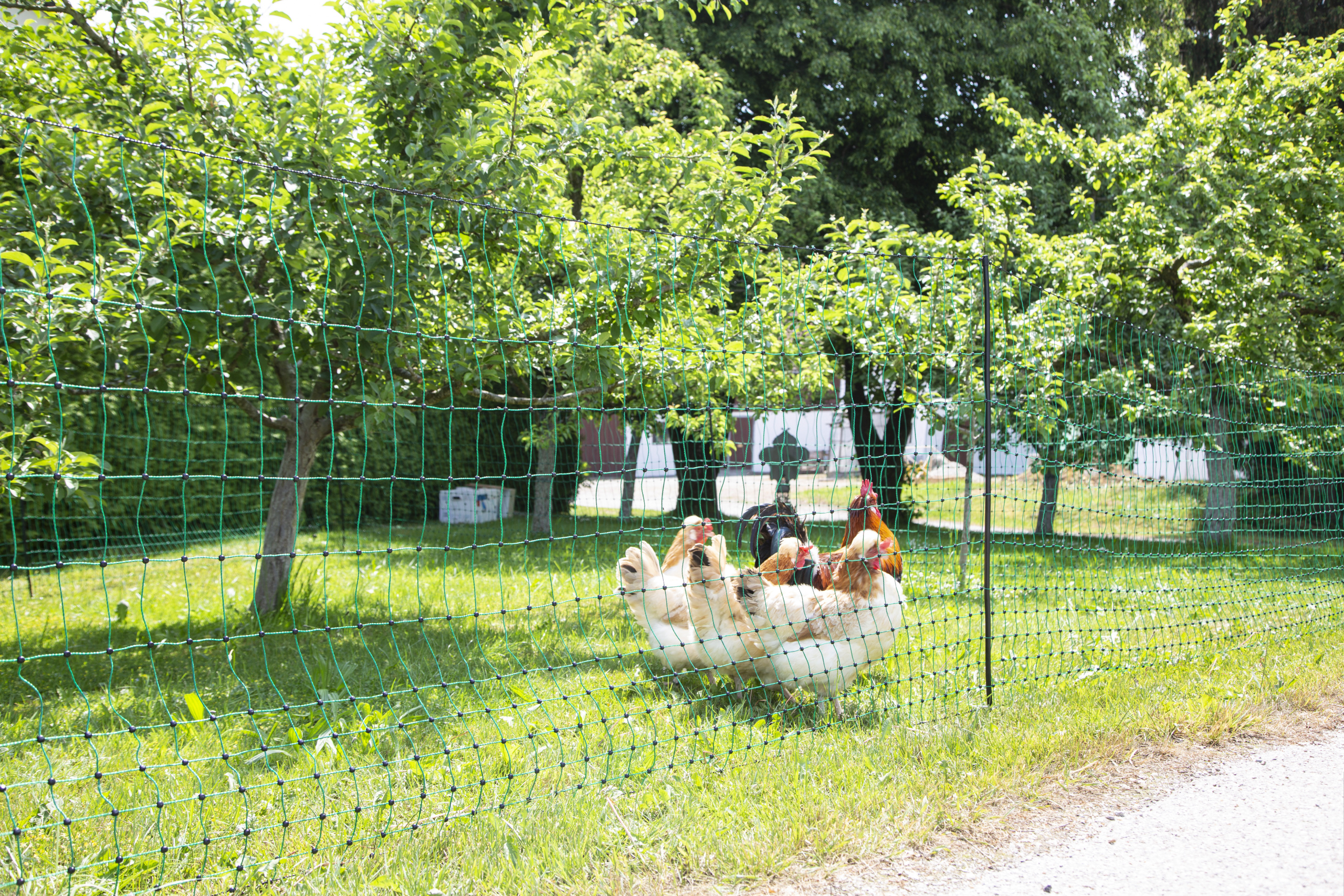 Geflügelnetz PoultryNet grün, nicht elektrifizierbar