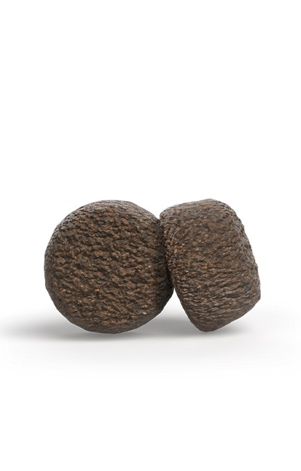 Josera Lamb & Reis (vorher Lamm & Reis), 900g