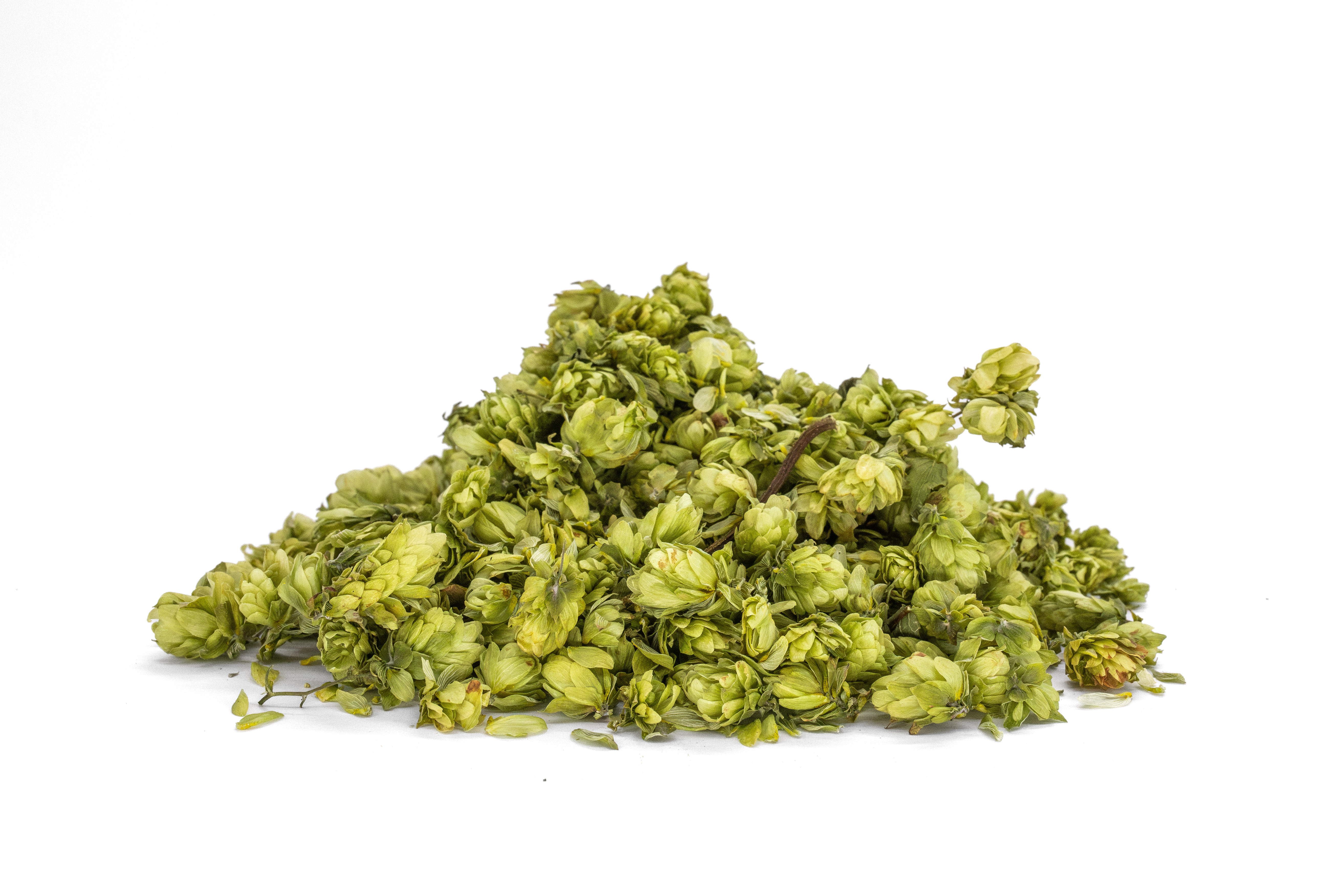 Bio Hopfenblüten, 300g